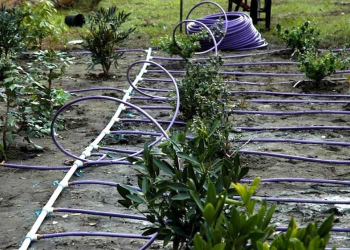 What Are the Benefits of Netafim Drip Irrigation Systems for Gardens?