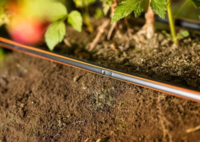 How Do Netafim Drip Irrigation Systems Compare to Traditional Sprinklers?