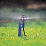 What Are Netafim Mini Sprinklers Best Used For?