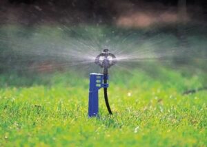 What Are Netafim Mini Sprinklers Best Used For?